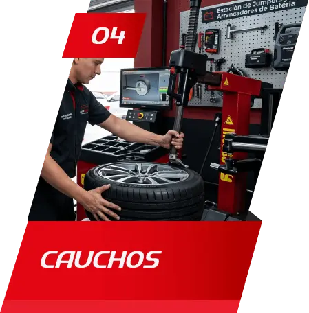 Cauchos