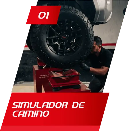 Simulador de Camino