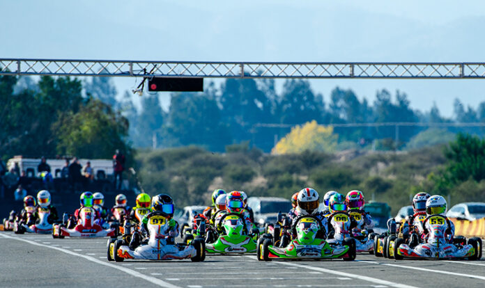 rotax max 1