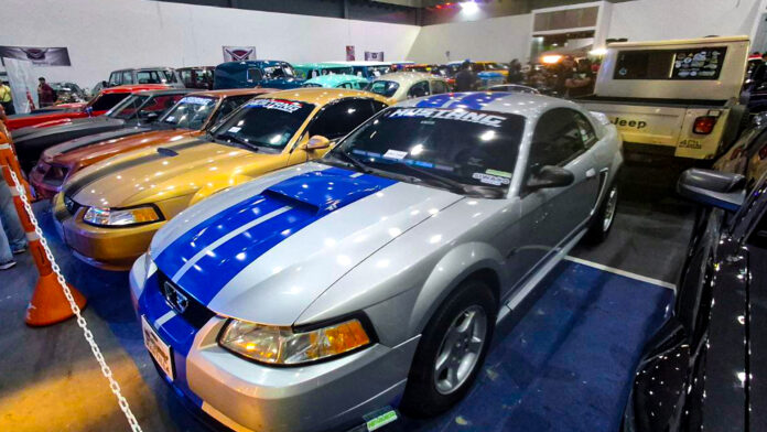 mustang