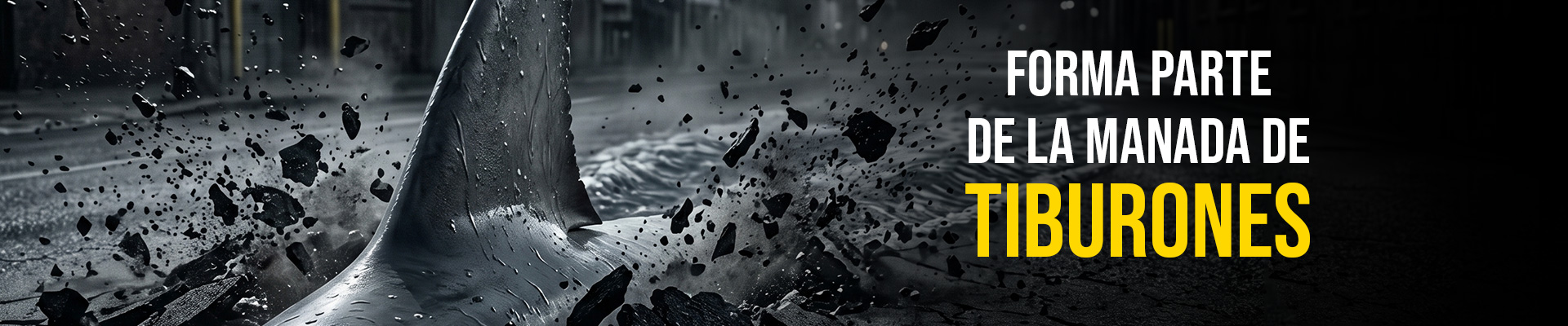 banner-empleo