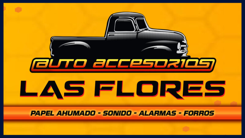AUTO ACCESORIOS LAS FLORES C.A.